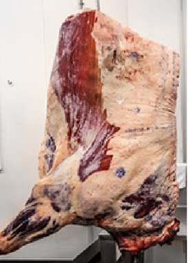 1/2 Grass Fed Beef Come Cut $13.99 Per Lb