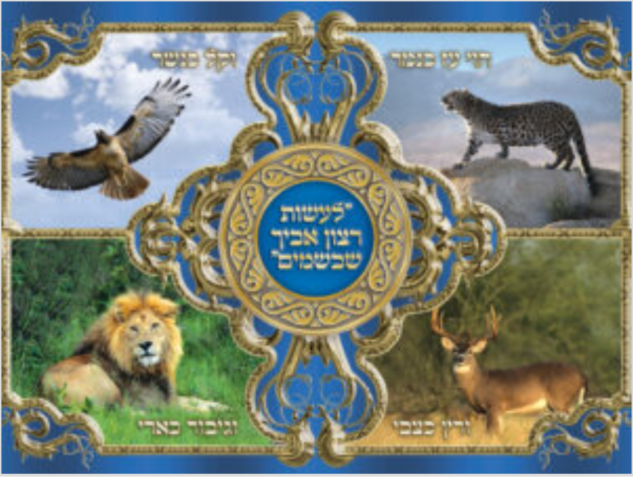 Sukkah Picture size 20x27 inch #3