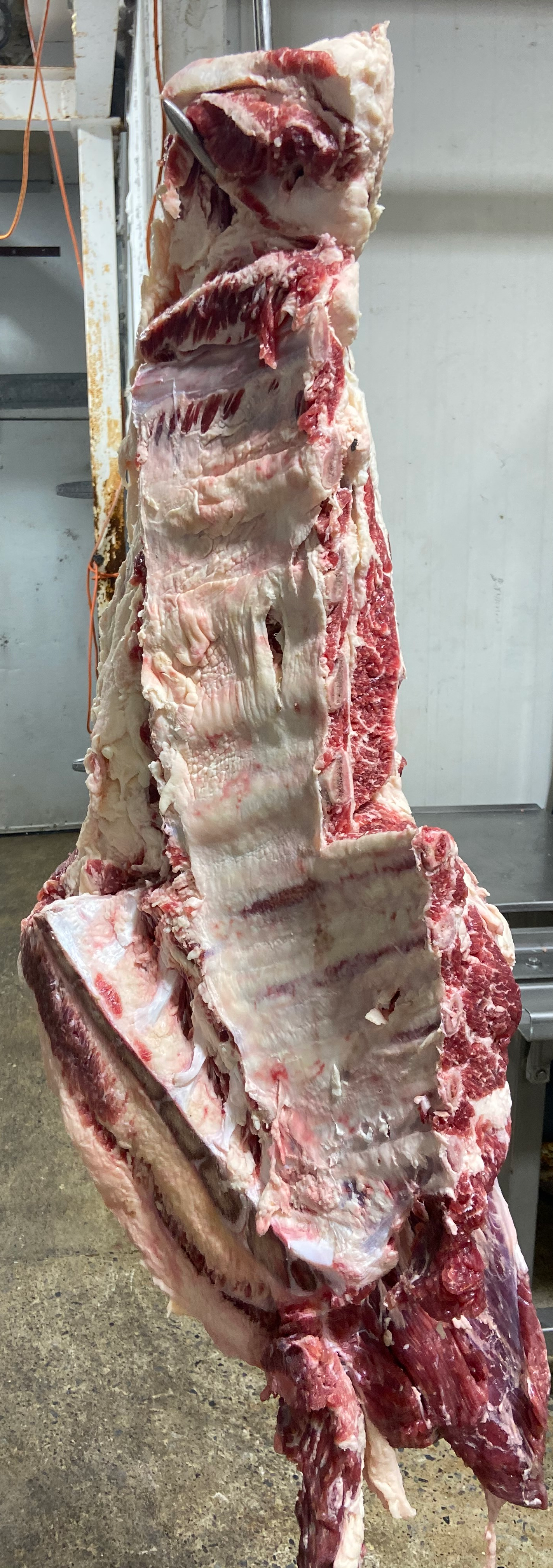 Whole 12 ribs Beef $14.50 Per LB