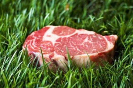 grass-fed-beef1