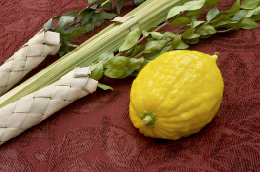 sukkot